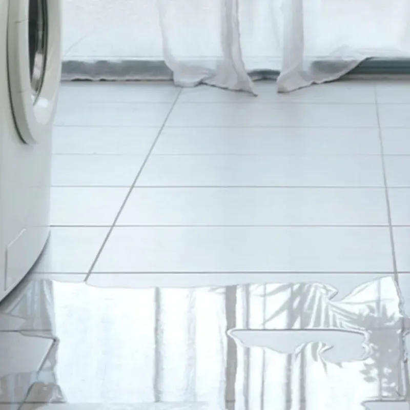 Appliance Leak Cleanup in Greeneville, TN