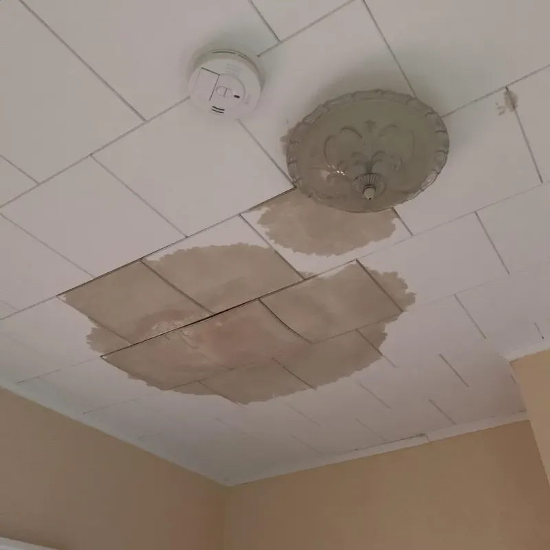 Ceiling Water Damage Repair in Greeneville, TN
