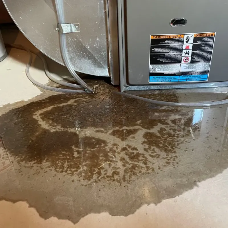 Pipe Burst and Leak Restoration in Greeneville, TN