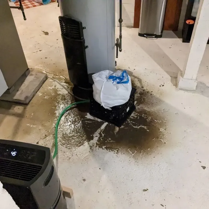 Sewage Backup Cleanup Service in Greeneville, TN